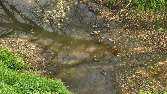 $135,000 | 33 Hillsboro Wi 54634, Hillsboro, WI 54634