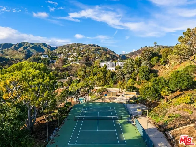 a view of three tall trees