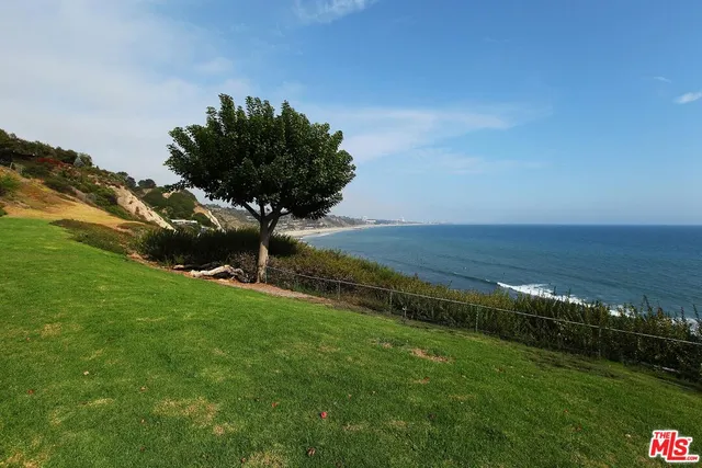 a living room with furniture flowerpot and a potted plant