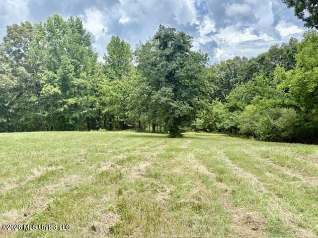 703 Burton Road Senatobia, MS 38668 - Photo 3 of 10 IMG_3811