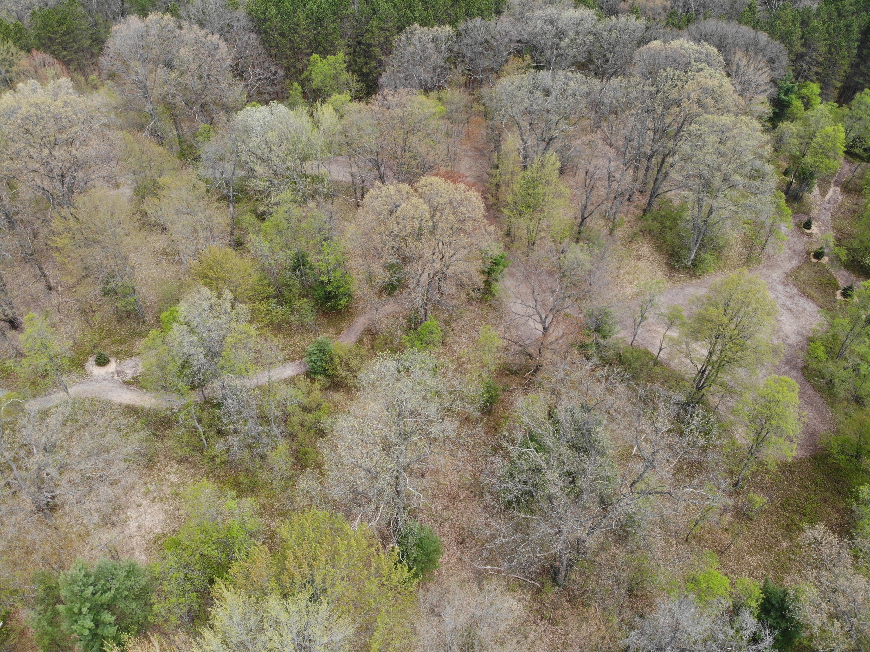 32 32 1/2 Road Cadillac, MI 49601 - Photo 8 of 34 DJI_0779