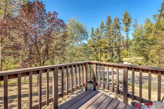 a view of road with large trees