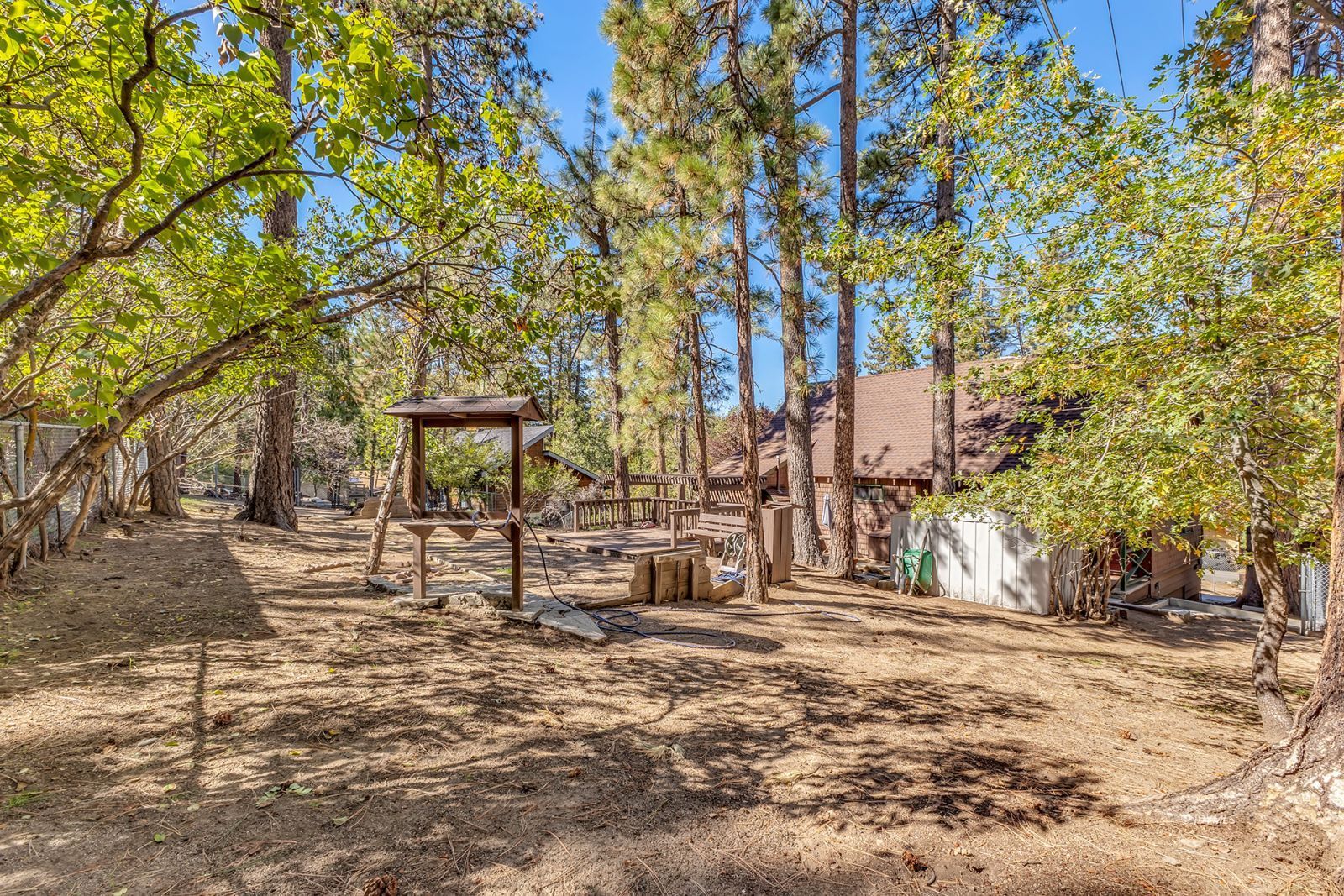 53575 Tollgate Road Idyllwild, CA 92549 - Photo 64 of 71 a view of a yard with plants and trees