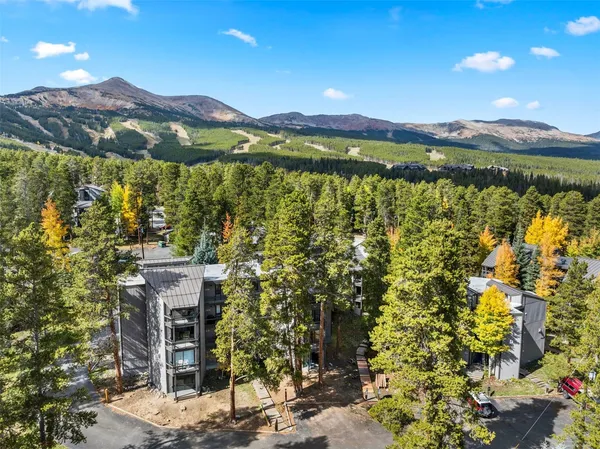 $625,000 | 1127 Ski Hill Road, Unit 94, Breckenridge, CO 80424