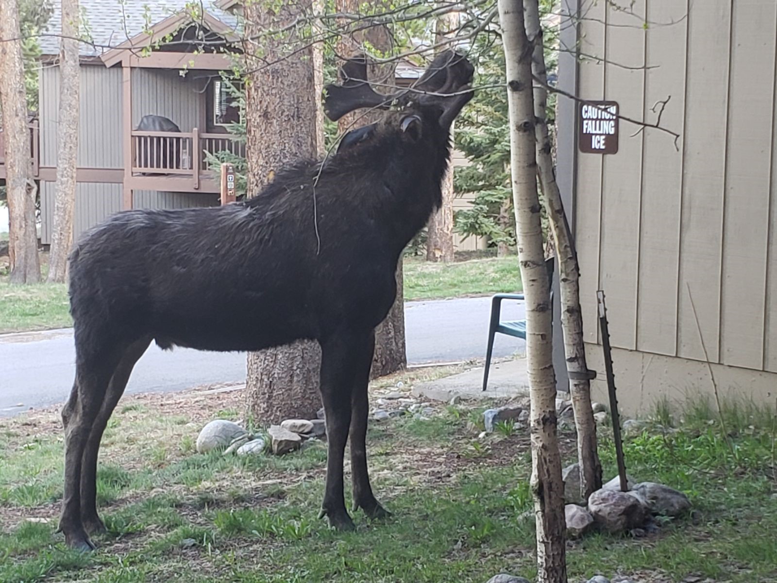 1127 Ski Hill Road, Unit 94 Breckenridge, CO 80424 - Photo 22 of 36 a balcony with table and chairs