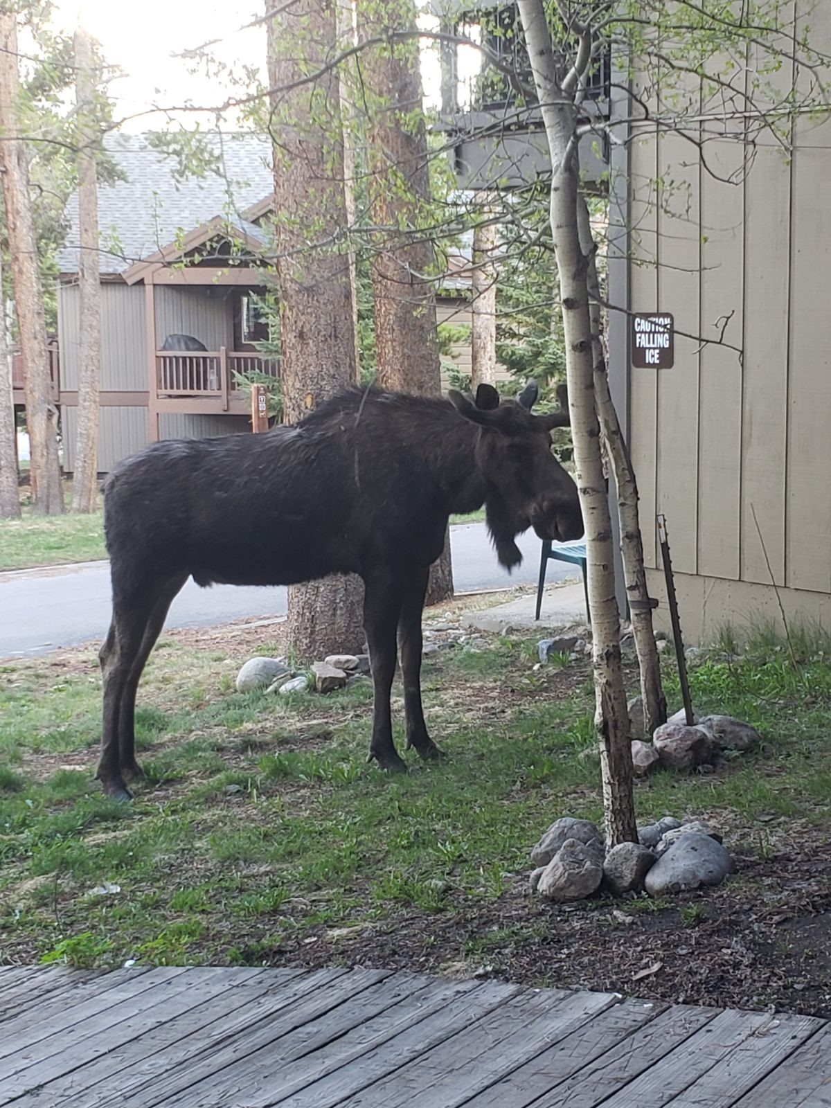 1127 Ski Hill Road, Unit 94 Breckenridge, CO 80424 - Photo 23 of 36 a view of balcony with wooden floor and outdoor space