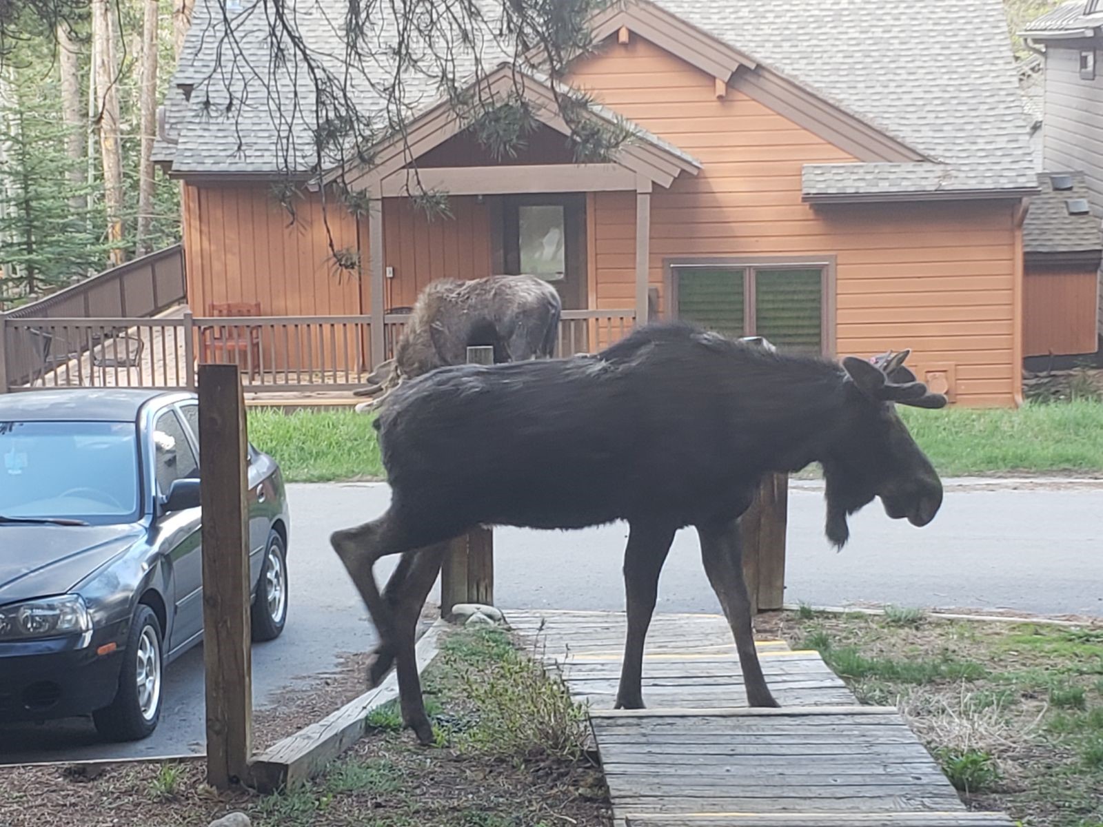 1127 Ski Hill Road, Unit 94 Breckenridge, CO 80424 - Photo 32 of 36 a front view of a house with garden