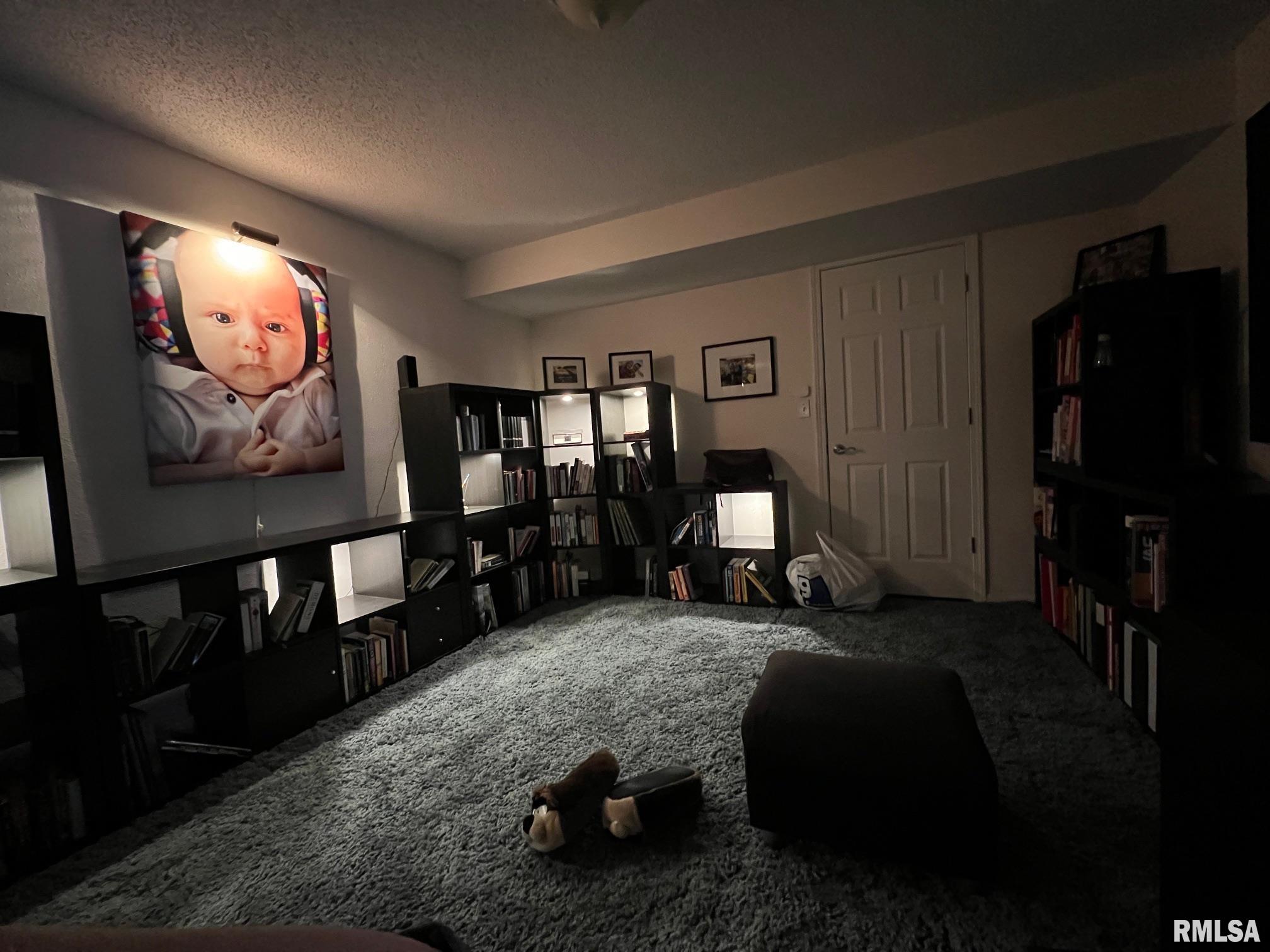 515 Wren Drive Mount Vernon, IL 62864 - Photo 10 of 18