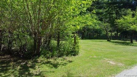 19191 Clark Road Belleville, MI 48111 - Photo 10 of 68