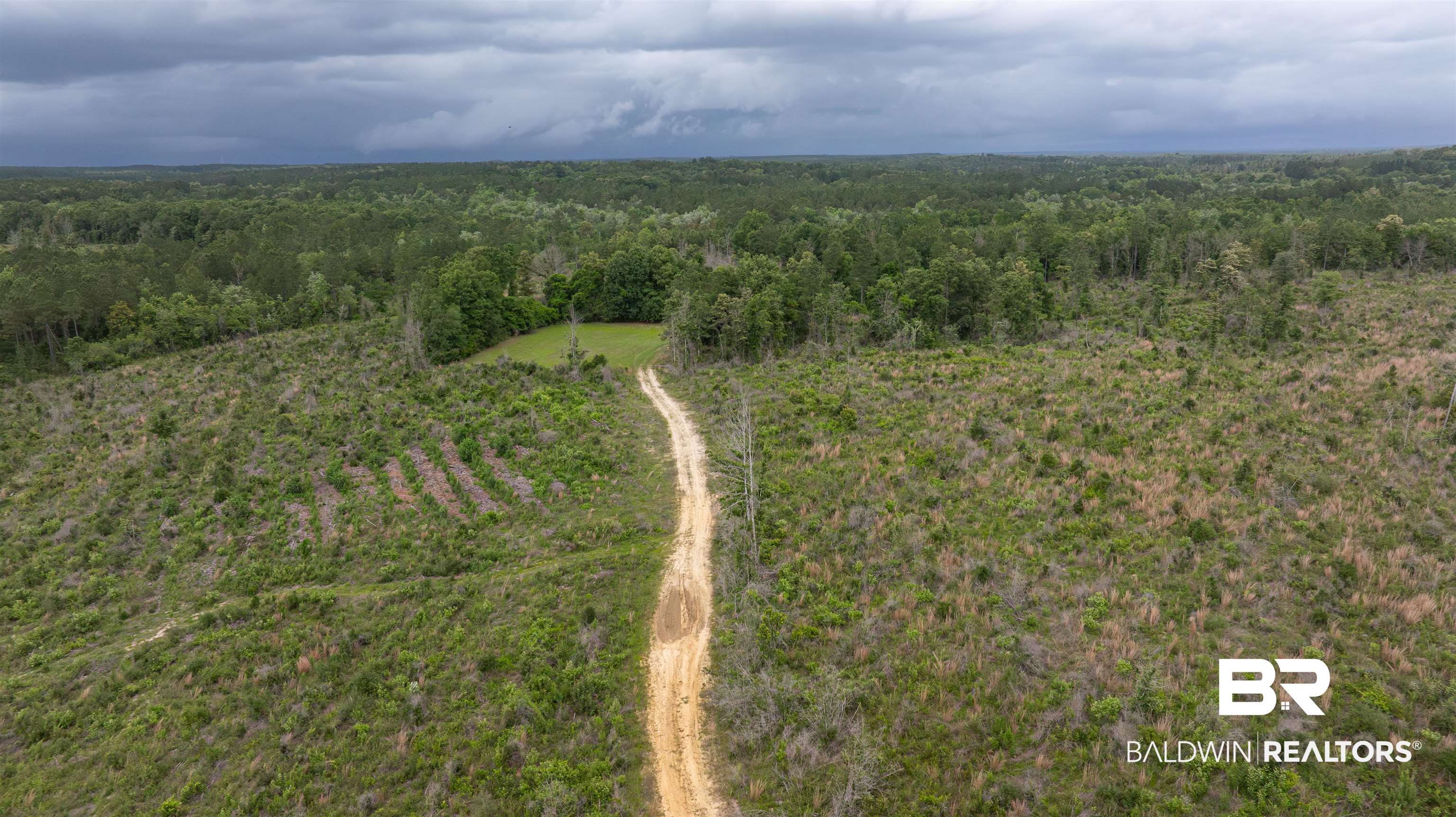 0 Phillips Road Stapleton, AL 36578 - Photo 12 of 13