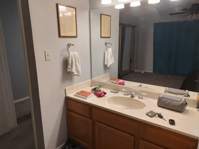 a bathroom with a sink and a mirror