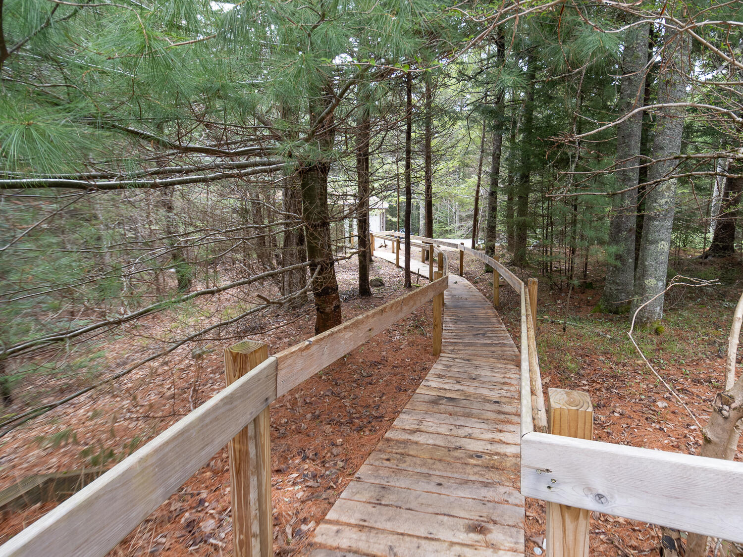 62 Parker Farm Road Mount Desert, ME 04660 - Photo 48 of 61 Walkway to Garage