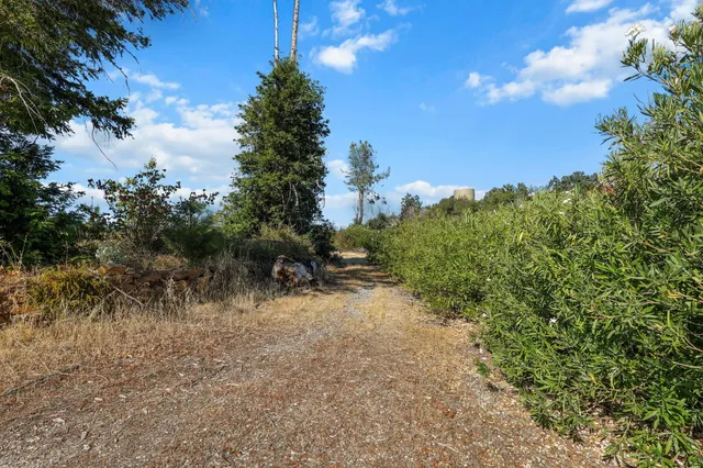 a view of swimming pool and trees in the background