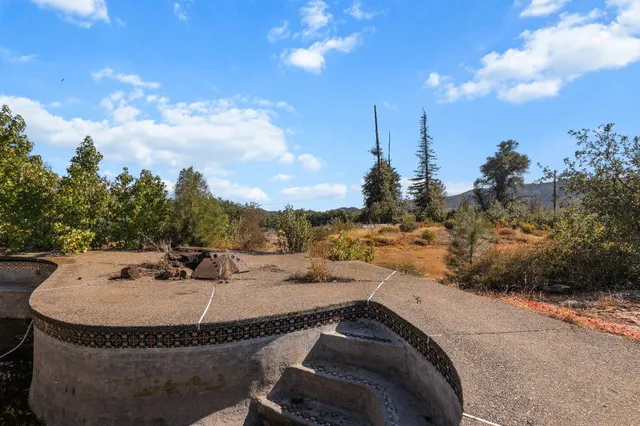 a close up of a tree