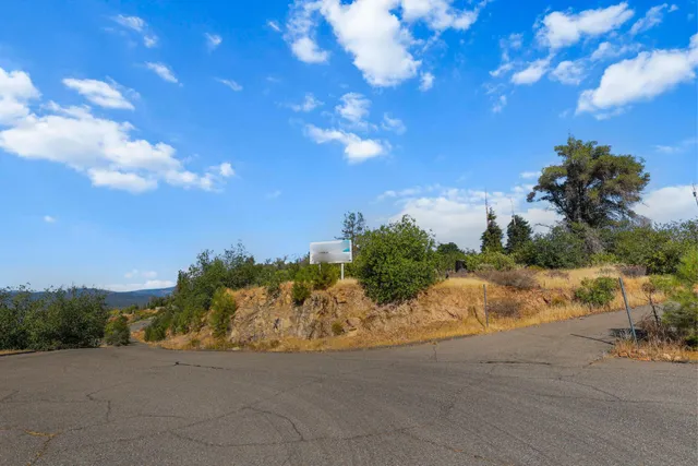 a view of dirt yard with large trees