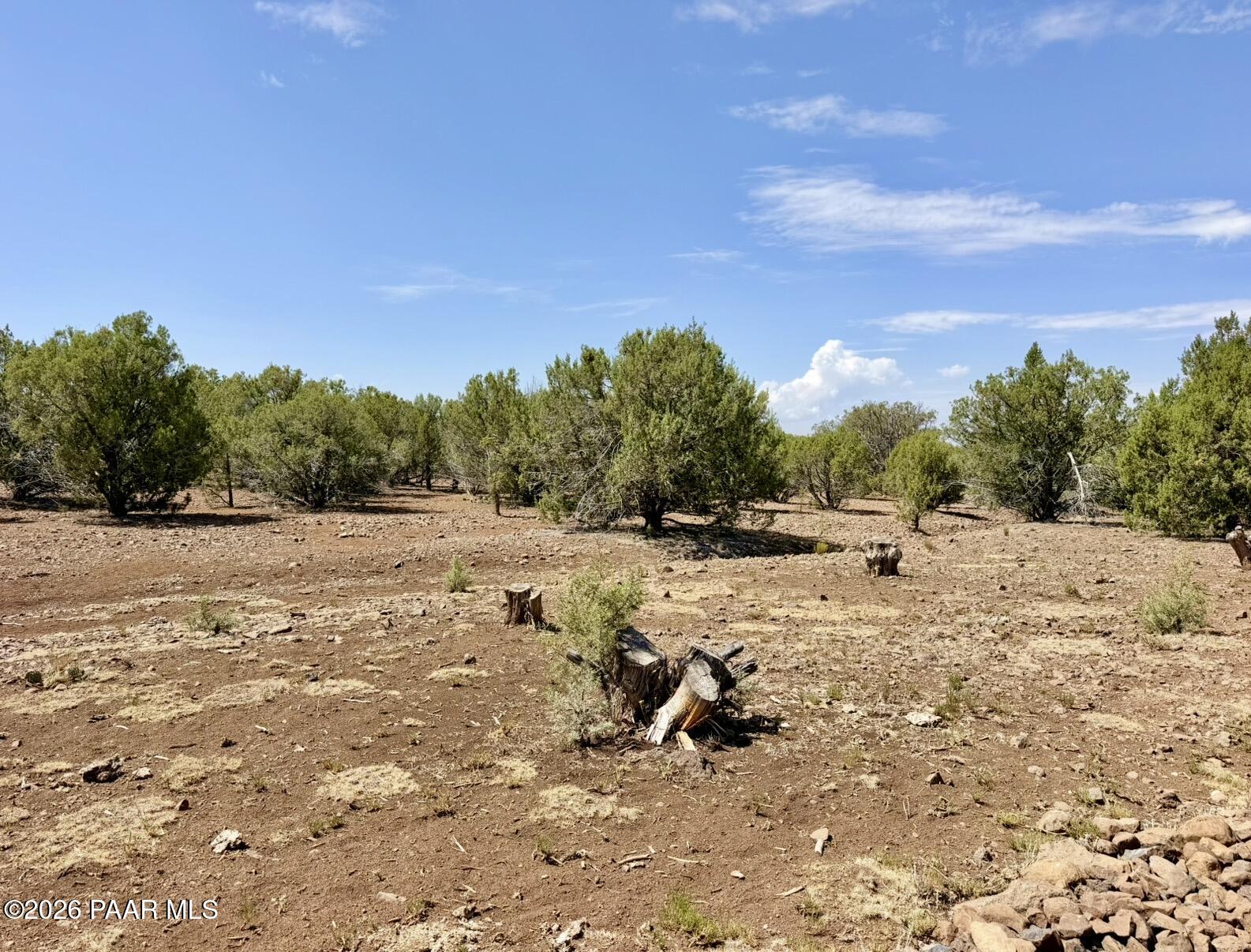 17169 Beale Wagon Road Seligman, AZ 86337 - Photo 52 of 55 Beale Wagon Homestead