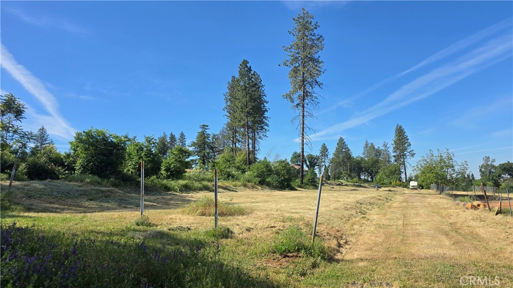 a view of a park