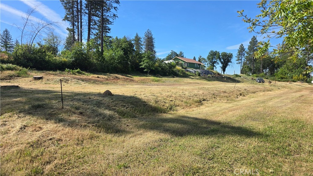 3810 Honey Run Road Paradise, CA 95969 - Photo 11 of 20 a view of a yard with an trees