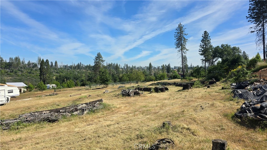 3810 Honey Run Road Paradise, CA 95969 - Photo 18 of 20 a view of a yard with a tree