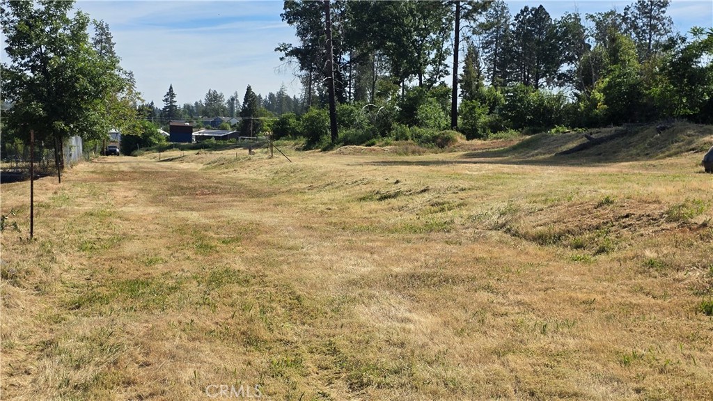 3810 Honey Run Road Paradise, CA 95969 - Photo 20 of 20 a view of a yard with trees