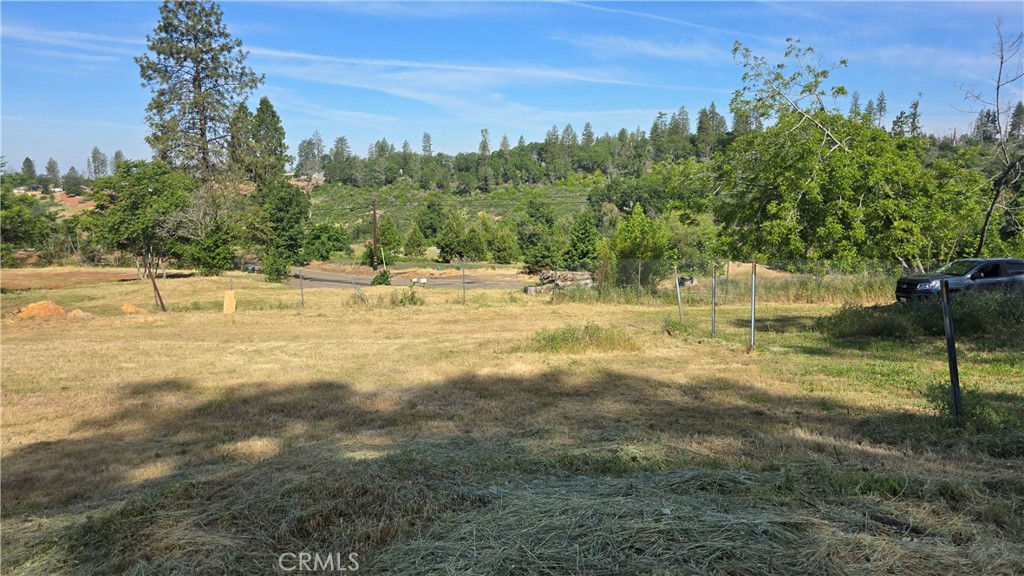 3810 Honey Run Road Paradise, CA 95969 - Photo 6 of 20 a view of a yard with a tree