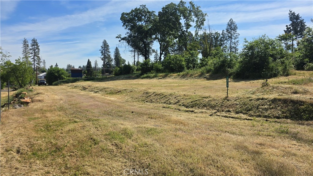 3810 Honey Run Road Paradise, CA 95969 - Photo 9 of 20 a view of a yard with trees