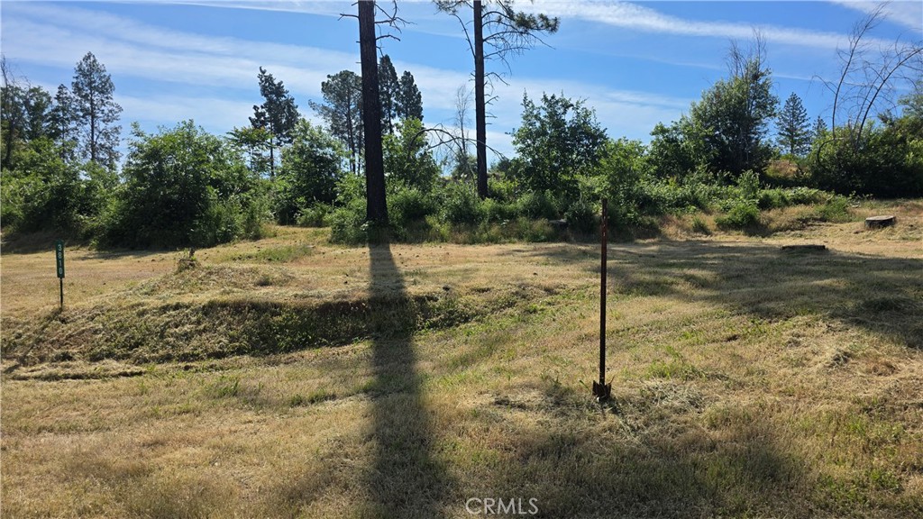 3810 Honey Run Road Paradise, CA 95969 - Photo 10 of 20 a view of a yard with a tree