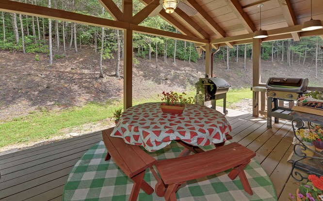 10 Frances Ridge Blue Ridge, GA 30513 - Photo 57 of 67 Gallery Image 57