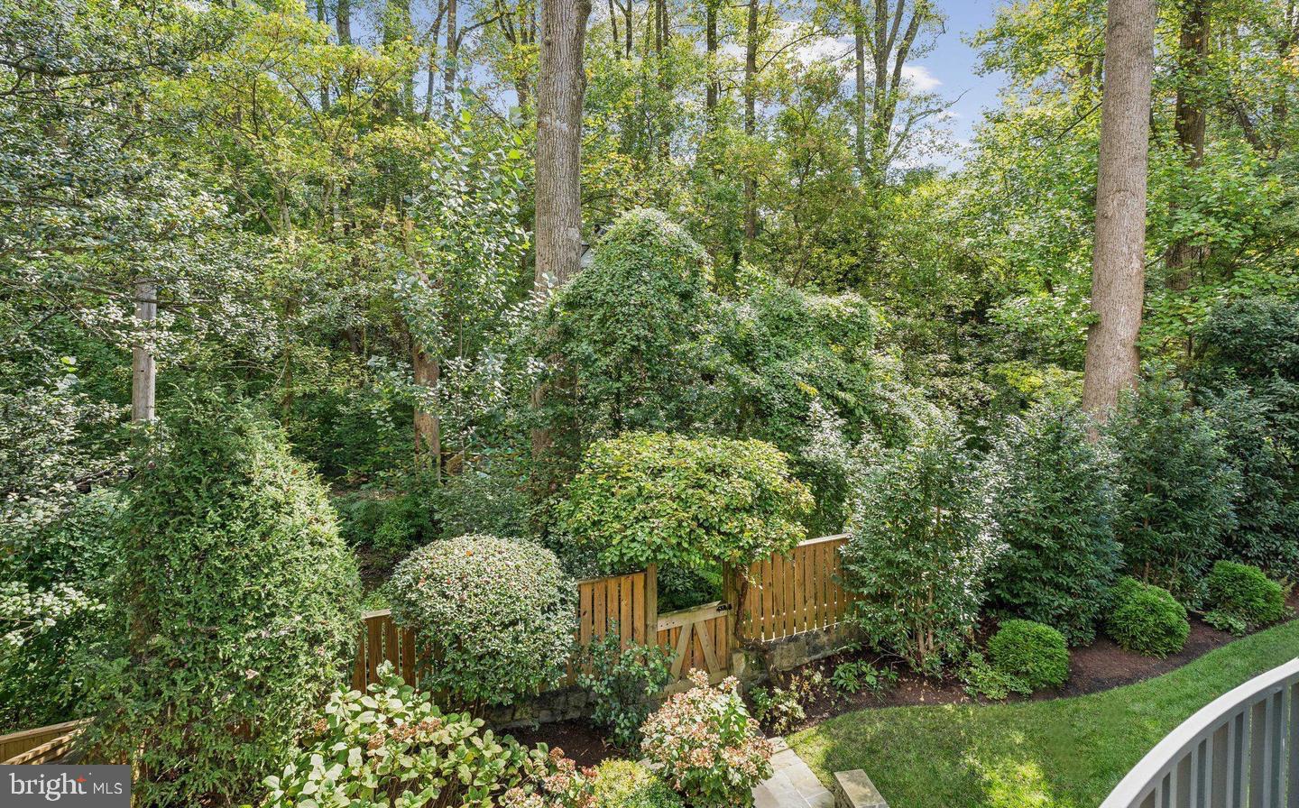 4956 Quebec Street Northwest Washington, DC 20016 - Photo 33 of 34 Serene views of Spring Valley Park