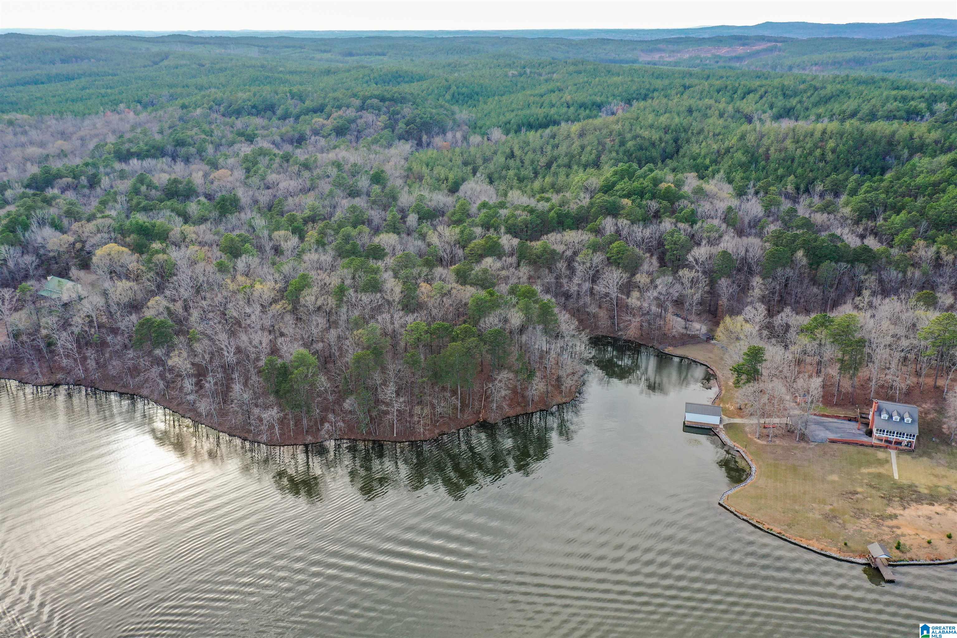 South River Road, Unit LONG Shelby, AL 35143 - Photo 9 of 21