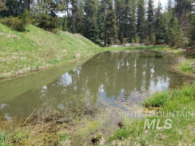 3460 American River Road Elk City, ID 83525 - Photo 42 of 50
