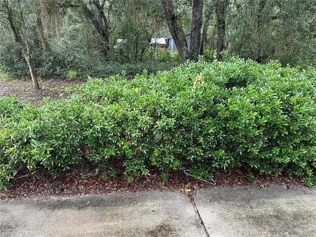a backyard of a house with lots of green space