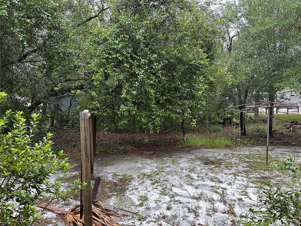 10625 Northeast 153 Street Fort McCoy, FL 32134 - Photo 5 of 7 a view of a park