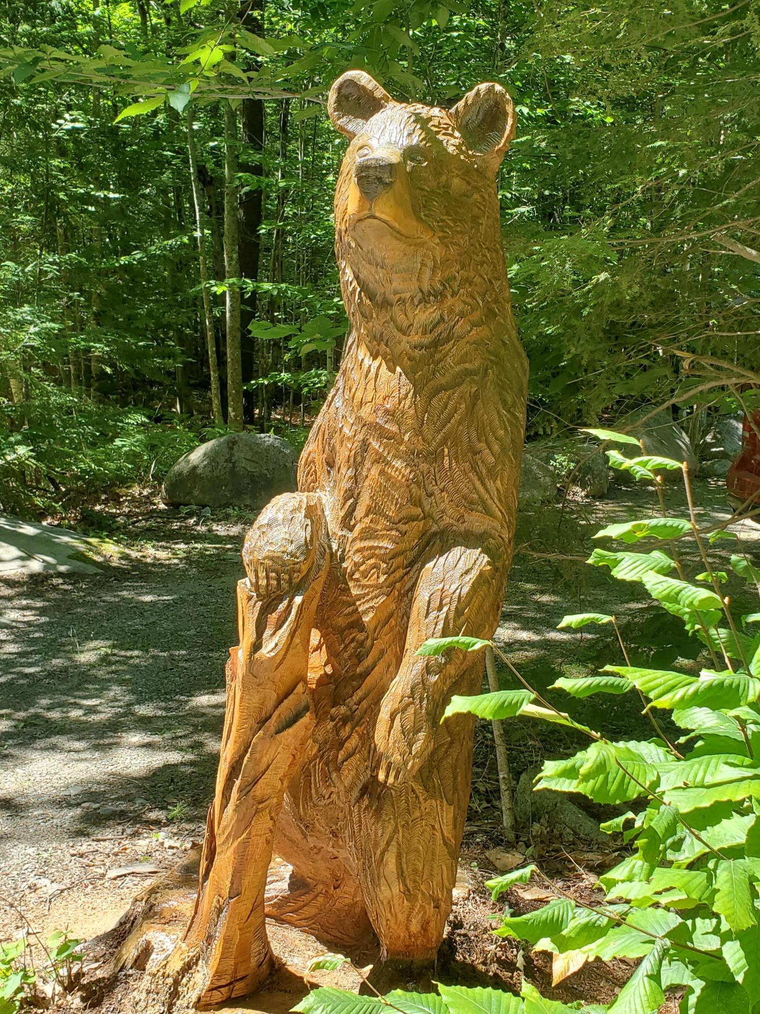 32 Maple Ridge Rome, ME 04963 - Photo 2 of 34 20200715_142545