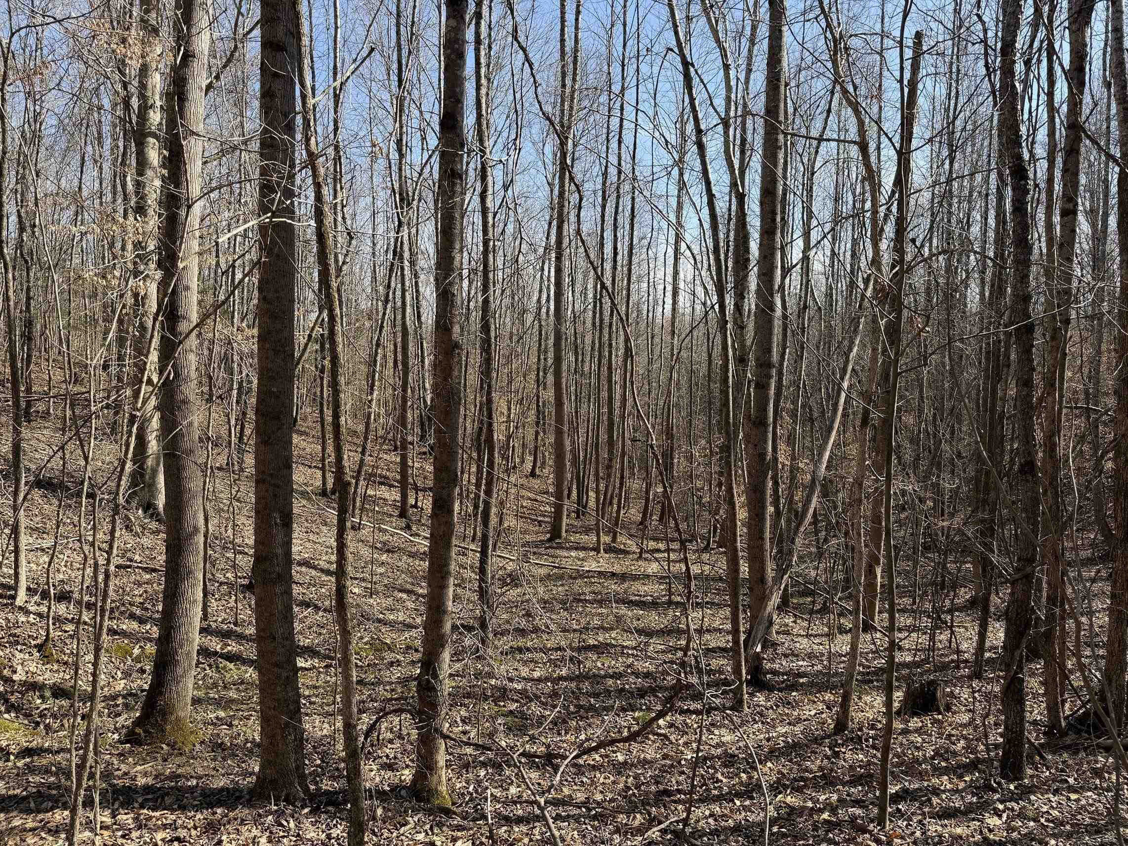 5085 Hardin Graveyard Road Enville, TN 38332 - Photo 28 of 40