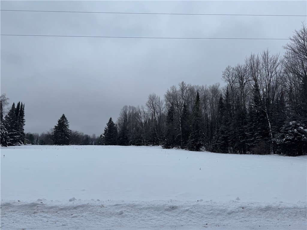 8.76-acres On Fadness Road Winter, WI 54896 - Photo 1 of 1 Gallery Image 1