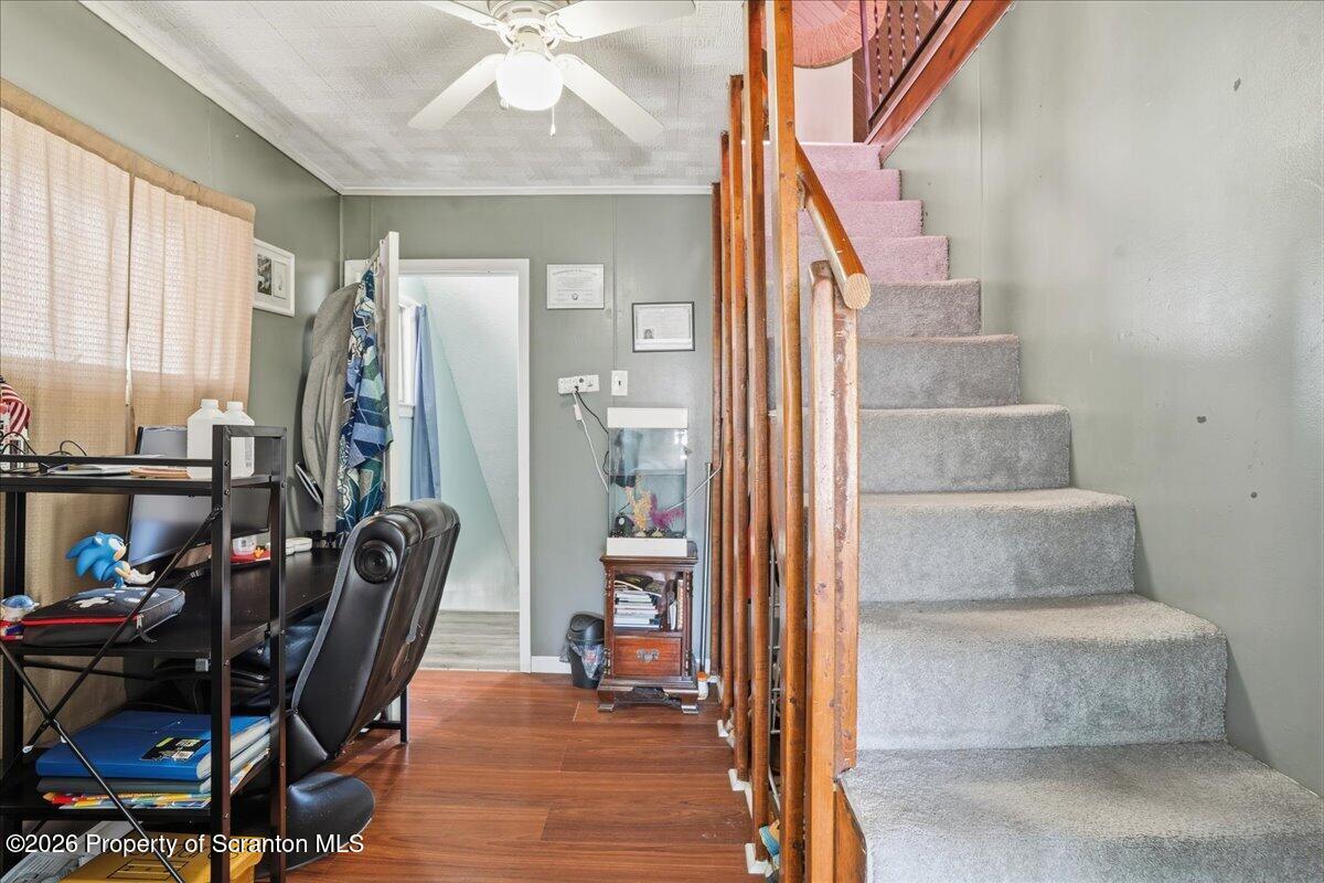 227 Reese Street Scranton, PA 18508 - Photo 31 of 56 a view of a livingroom with furniture and windows