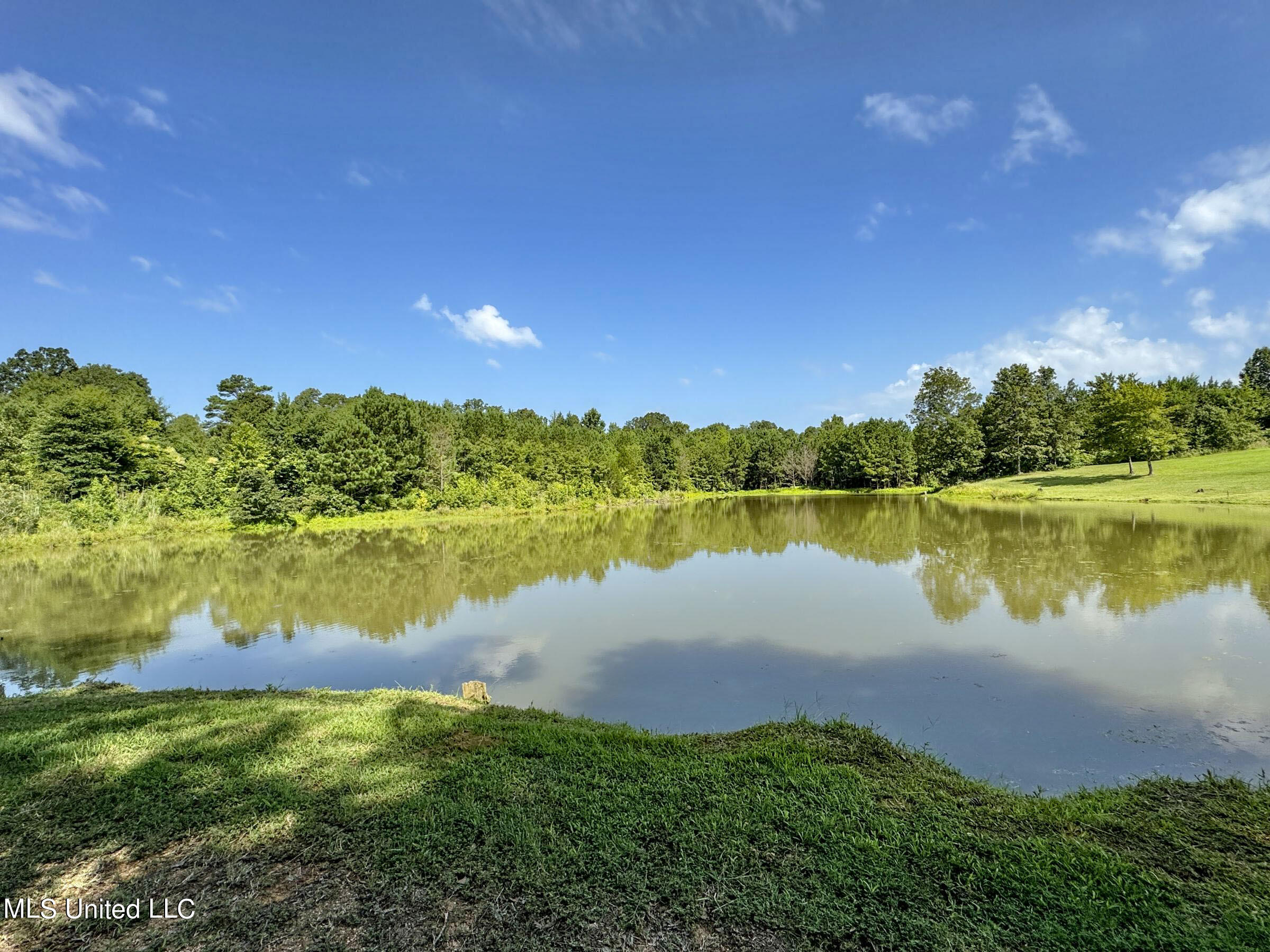 1968 Crouch Road Batesville, MS 38606 - Photo 101 of 106 stlt73