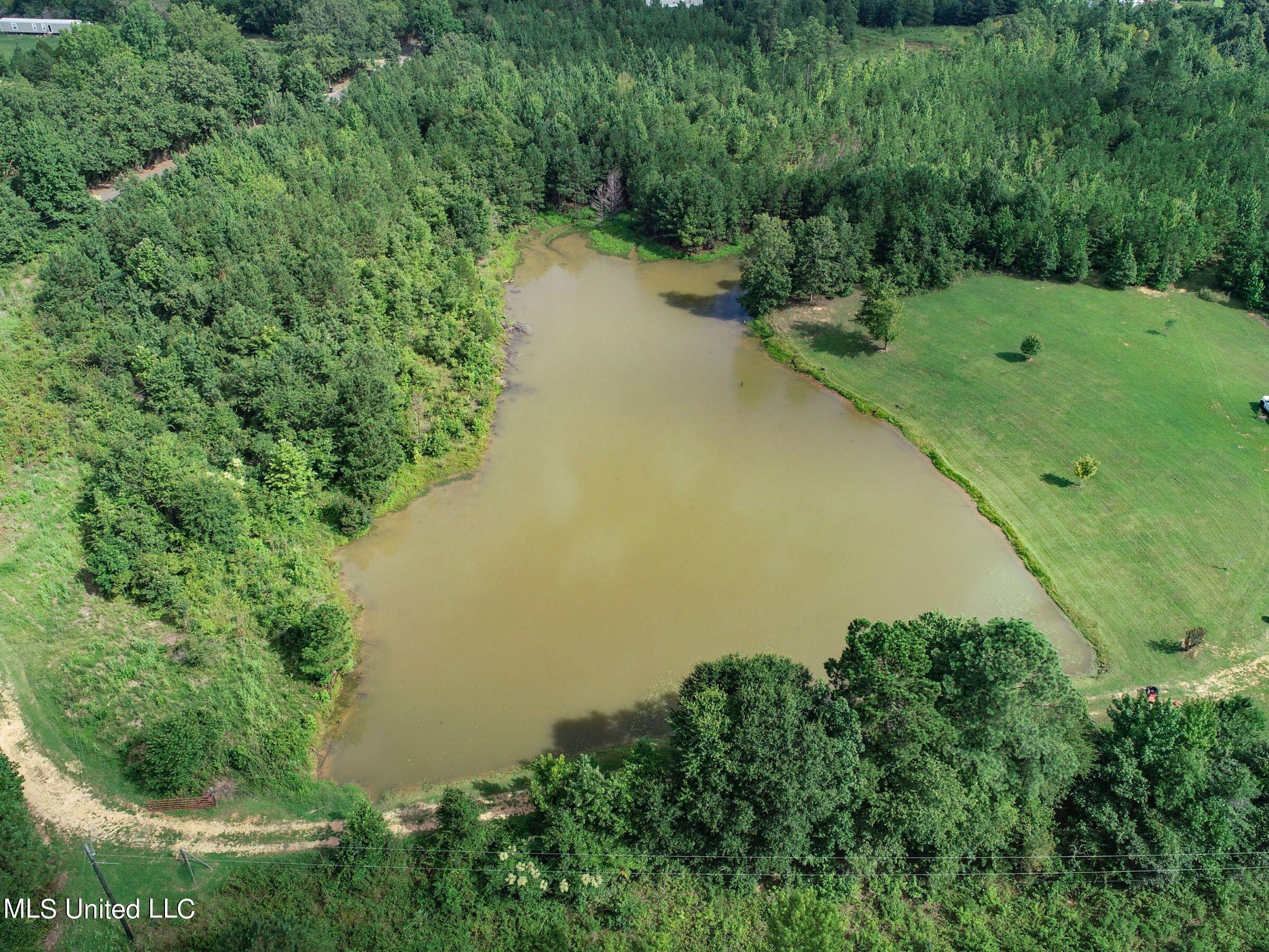1968 Crouch Road Batesville, MS 38606 - Photo 13 of 106 3stlt7