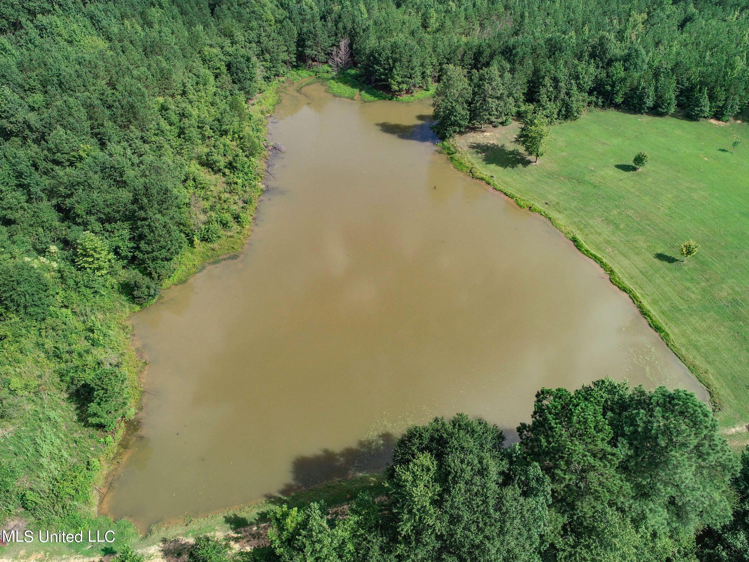1968 Crouch Road Batesville, MS 38606 - Photo 14 of 106 3stlt8