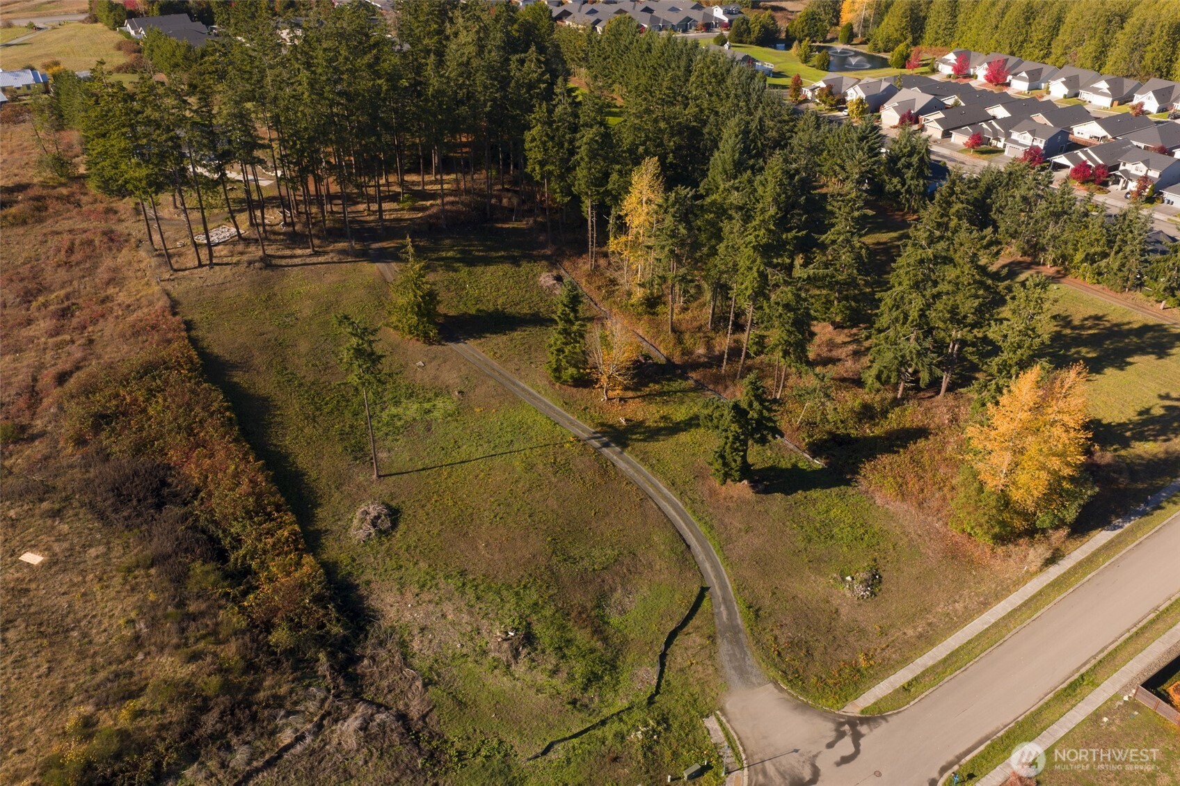 a view of swimming pool