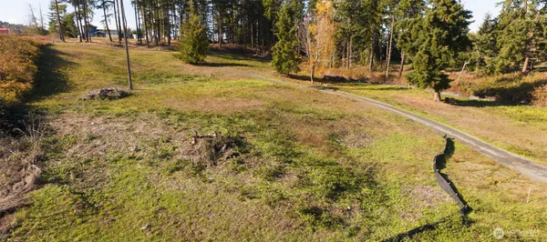 a view of yard with trees