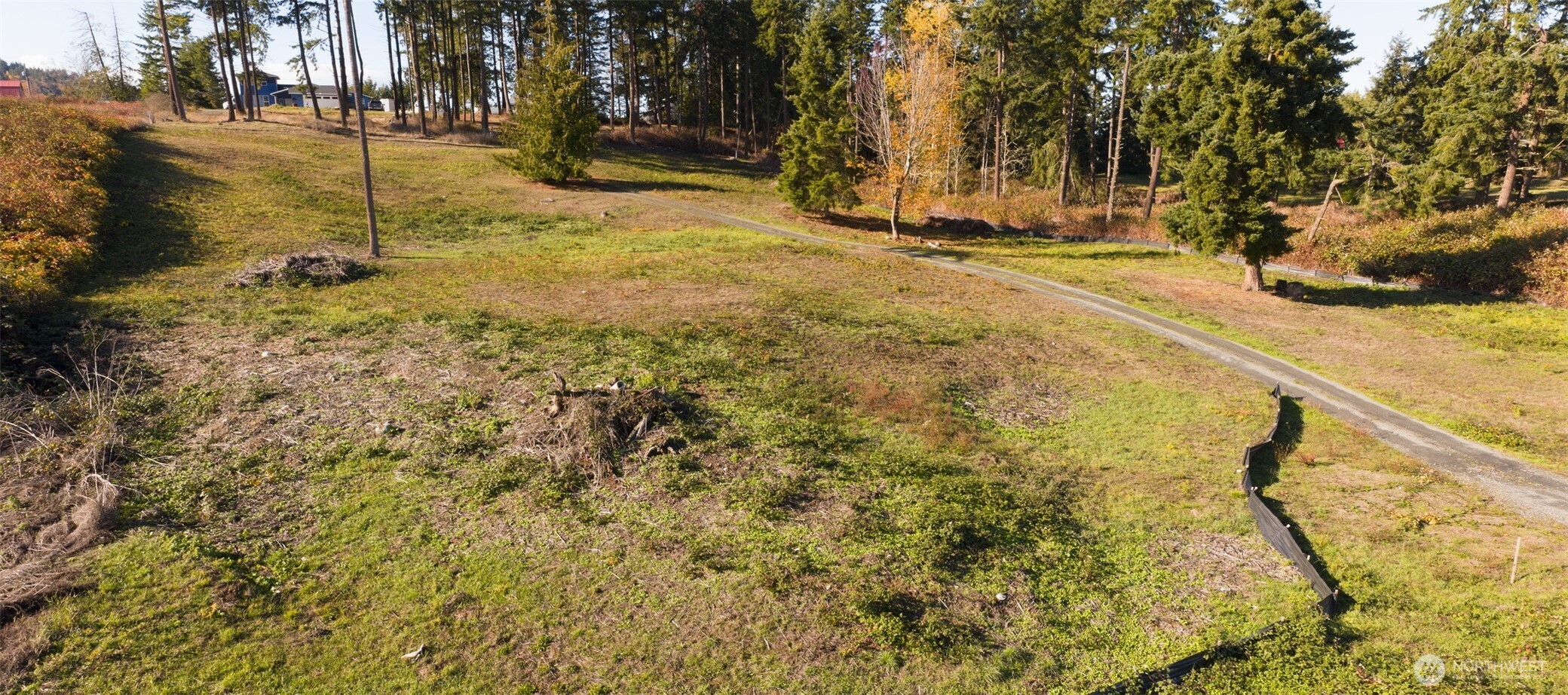 391 Keeler Road Sequim, WA 98382 - Photo 4 of 25 a view of yard with trees