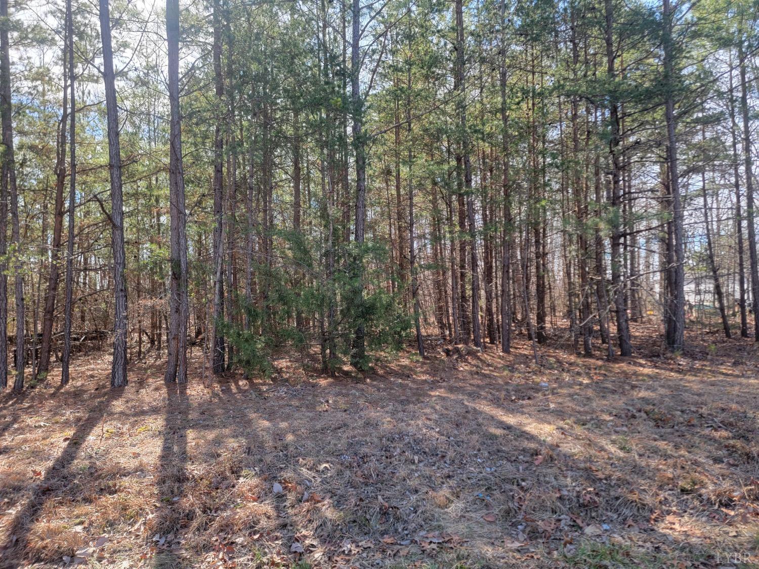 9999 Robinson Road Appomattox, VA 24522 - Photo 1 of 11 a view of outdoor space and tree
