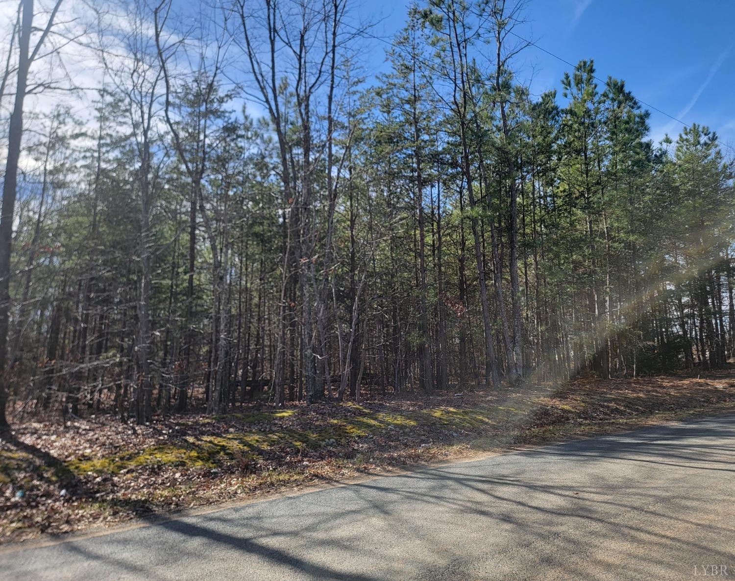 9999 Robinson Road Appomattox, VA 24522 - Photo 11 of 11 a view of a yard with trees