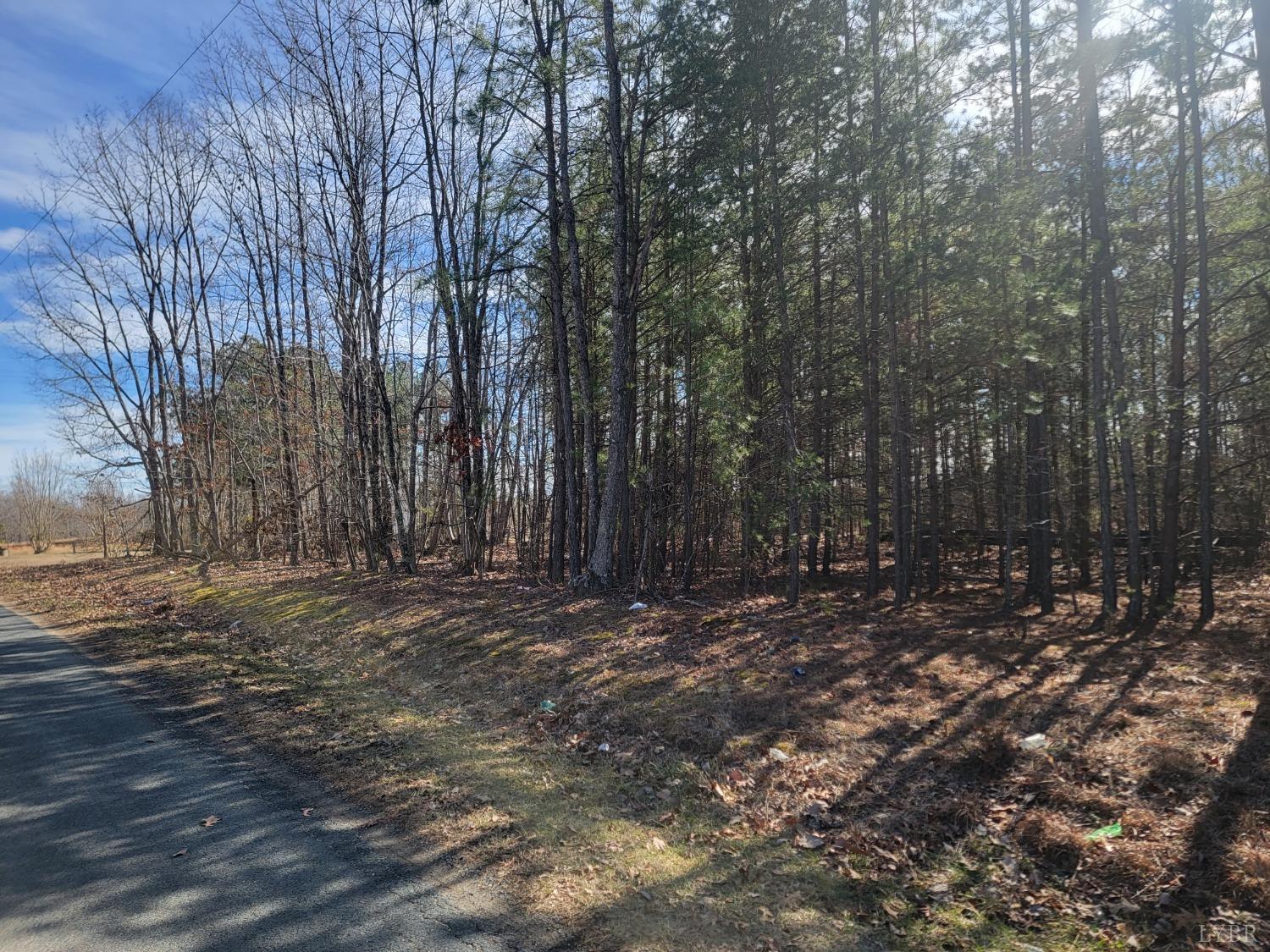 9999 Robinson Road Appomattox, VA 24522 - Photo 3 of 11 a view of a yard with trees