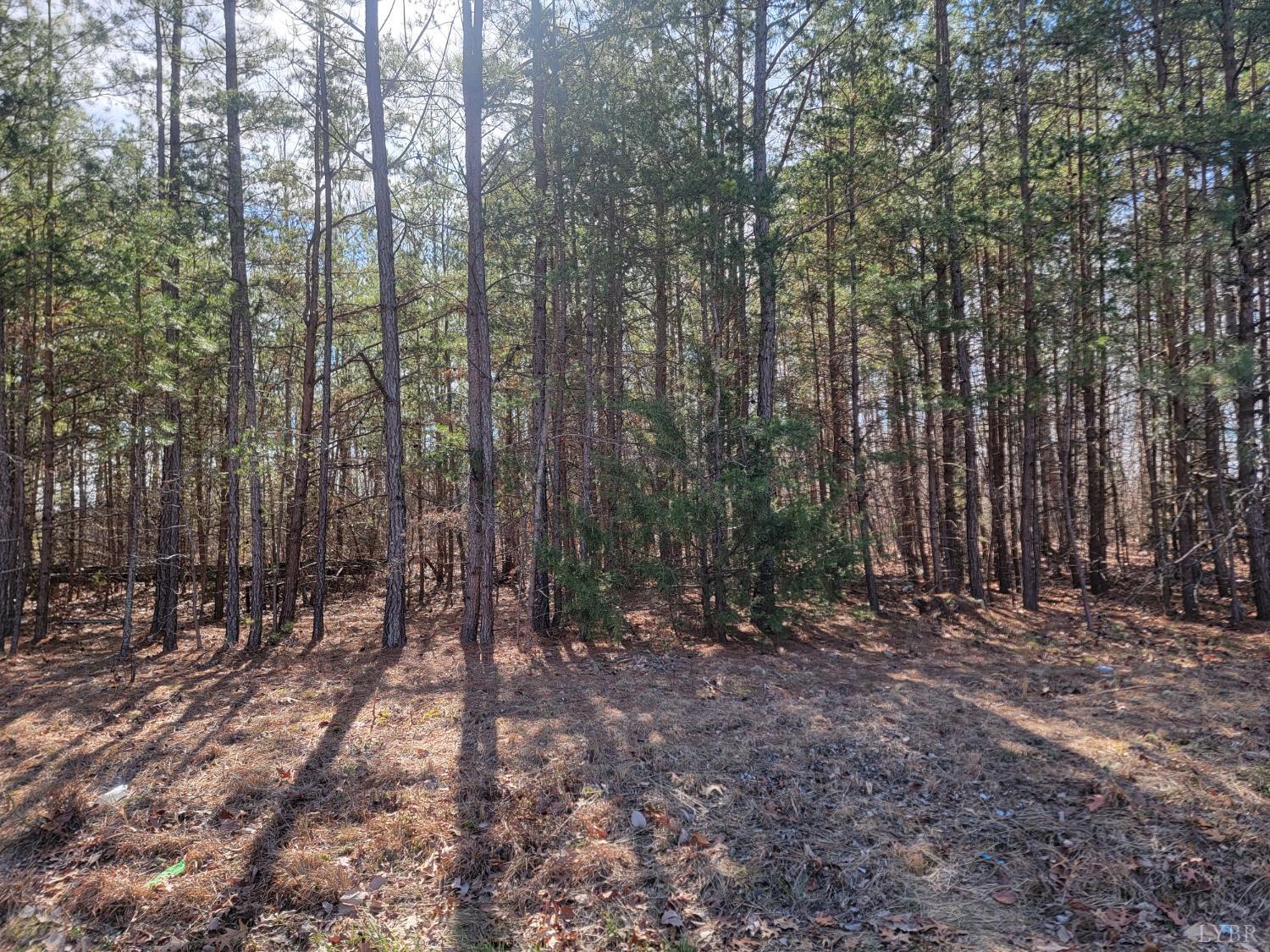 9999 Robinson Road Appomattox, VA 24522 - Photo 4 of 11 a view of outdoor space with trees
