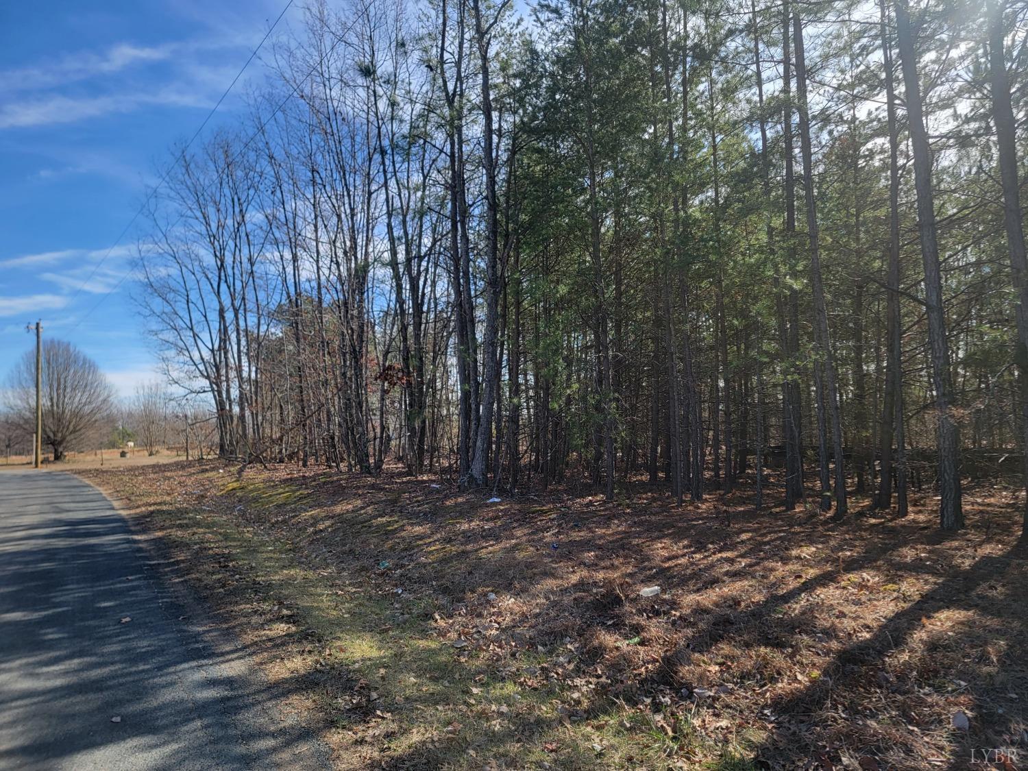 9999 Robinson Road Appomattox, VA 24522 - Photo 8 of 11 a view of outdoor space with trees