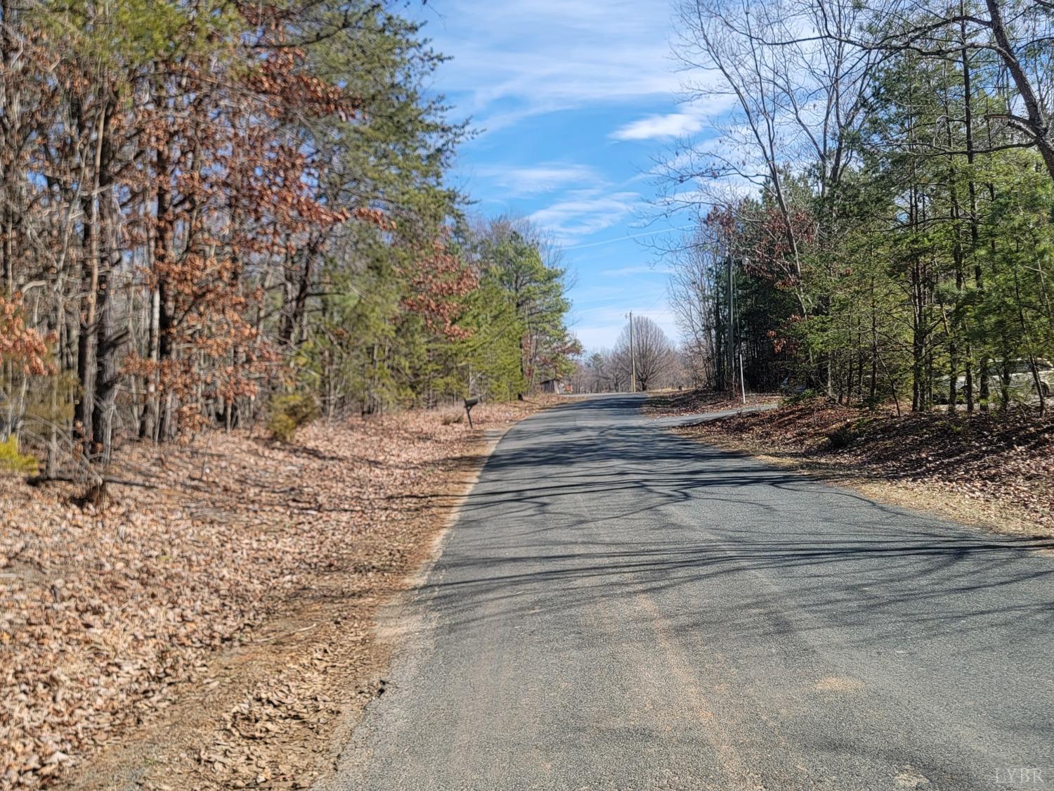9999 Robinson Road Appomattox, VA 24522 - Photo 9 of 11 a view of street space with large trees