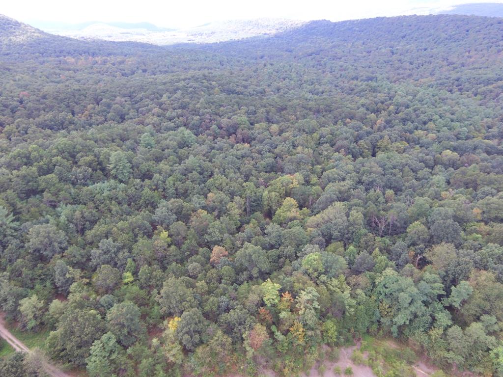 0 Wrangletown Road Shirleysburg, PA 17260 - Photo 10 of 28 Gallery Image 10